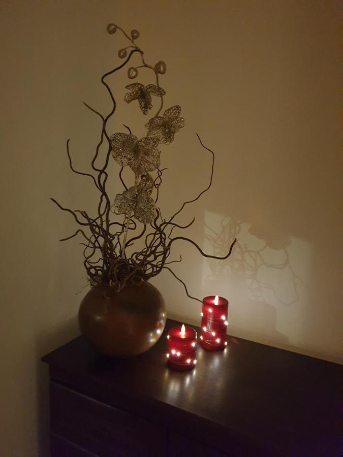 Beautiful Double En-Suite Room, Separate Entrance, Ilford, Central Line Gants Hill, Free Parking エクステリア 写真